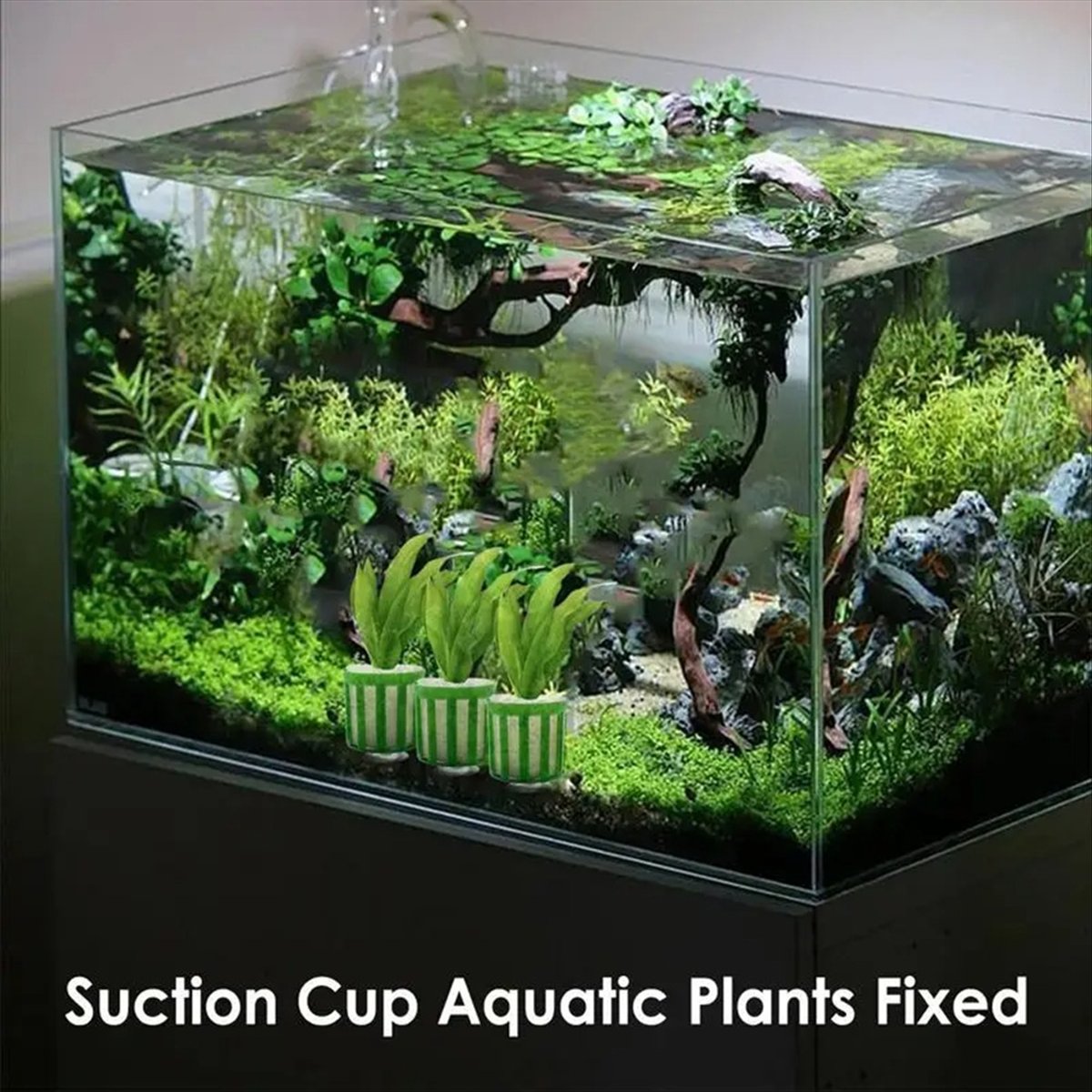 ABNQ Aquatic Plant Fixed Holde - Planted Aquarium Tool Kit ulasan dan harga