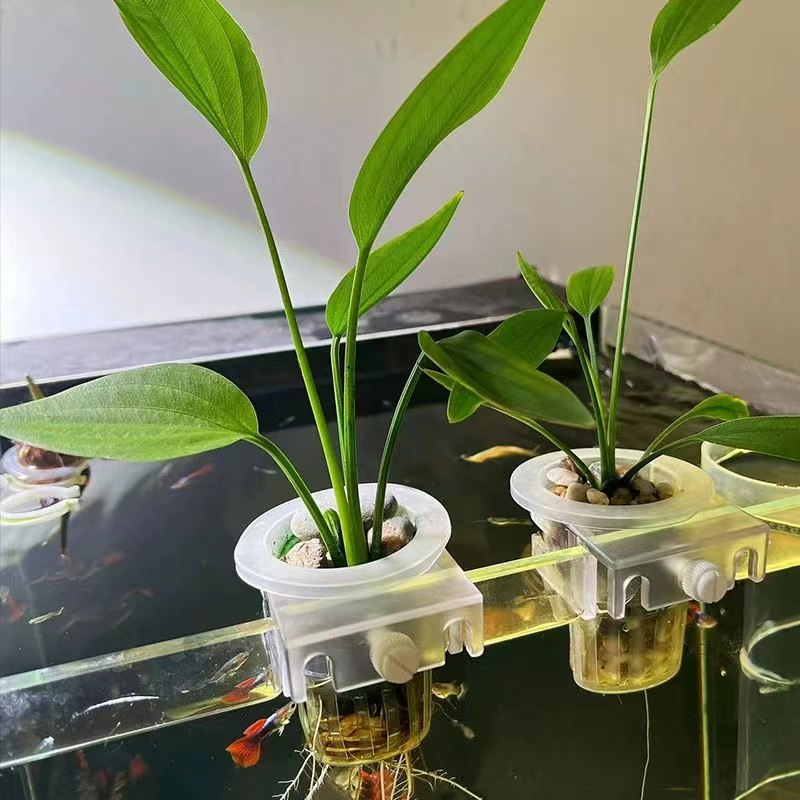 Aquarium Planting Basket Hydro - Aquarium Planted Wall ulasan dan harga