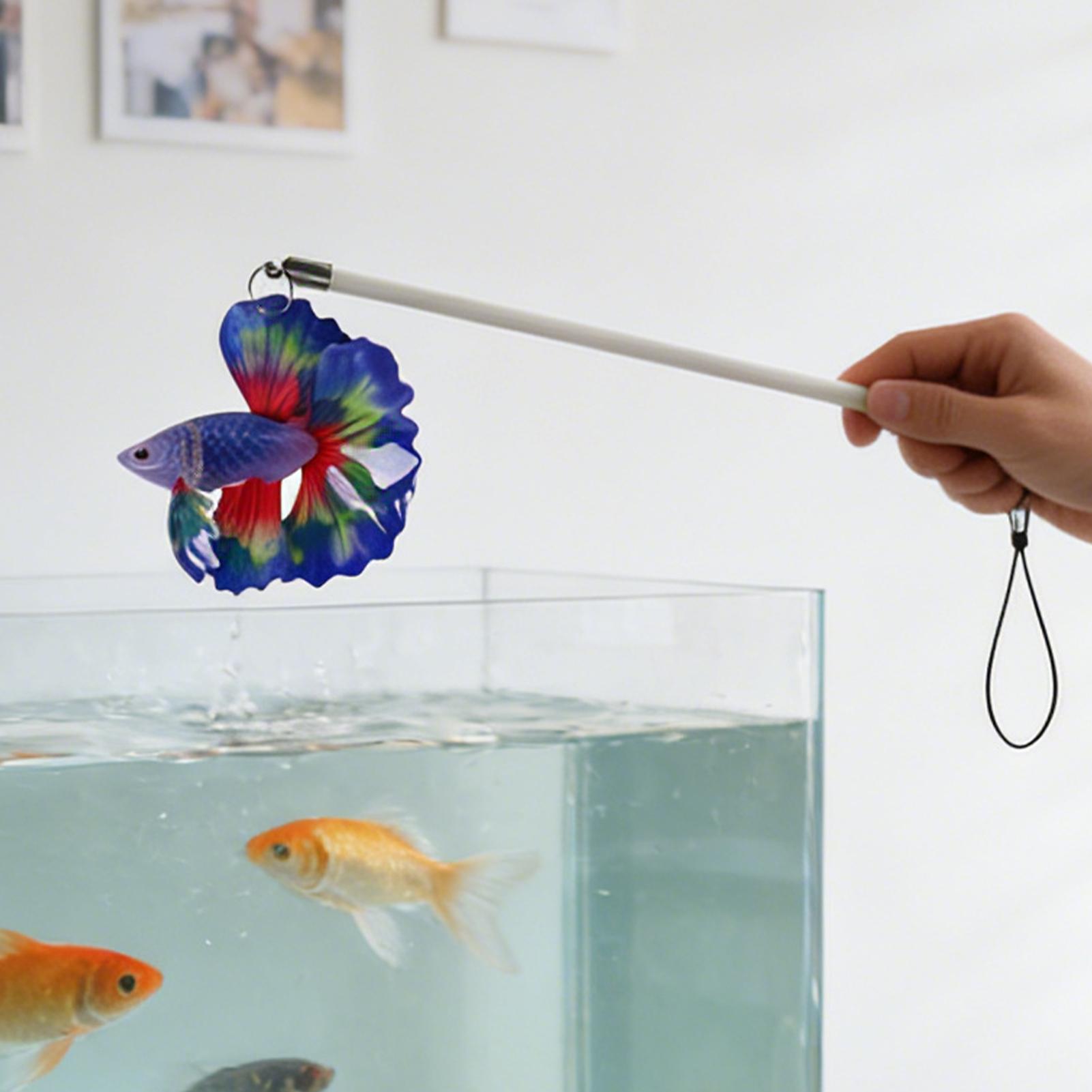 Fish Training Stick Realistic  - Planted Aquarium For Beginners ulasan dan harga