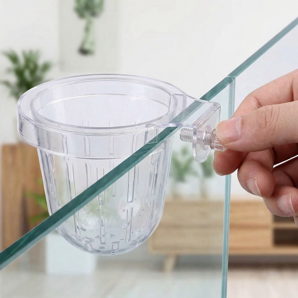 Transparent Fish Tank Grass Cu - Aquarium Planted Wall ulasan dan harga