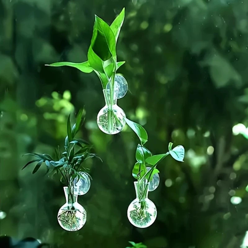 Creative Semi Circular Class W - Aquarium Planted Wall ulasan dan harga