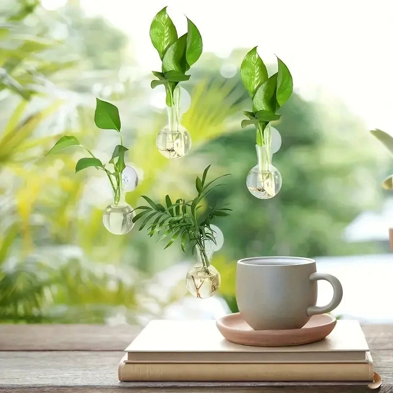 Creative Semi Circular Class W - Aquarium Planted Wall ulasan dan harga
