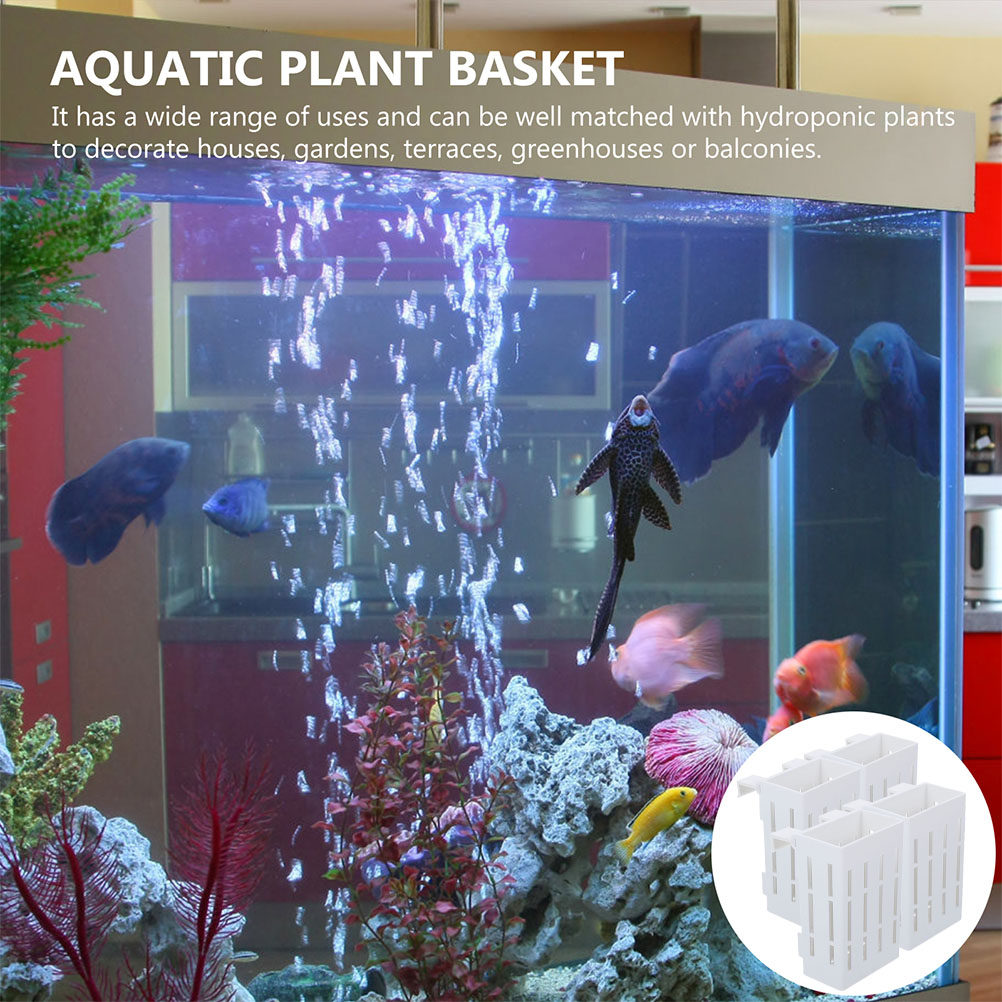 4Pcs Aquarium Plant Basket Pre - Aquarium Plant Roots ulasan dan harga